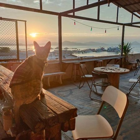 Sattahiptale Boutique Guesthouse & Hostel Екстер'єр фото